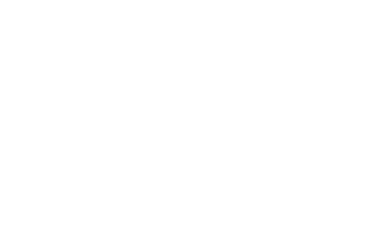 DANANG GUIDE 공식 로고